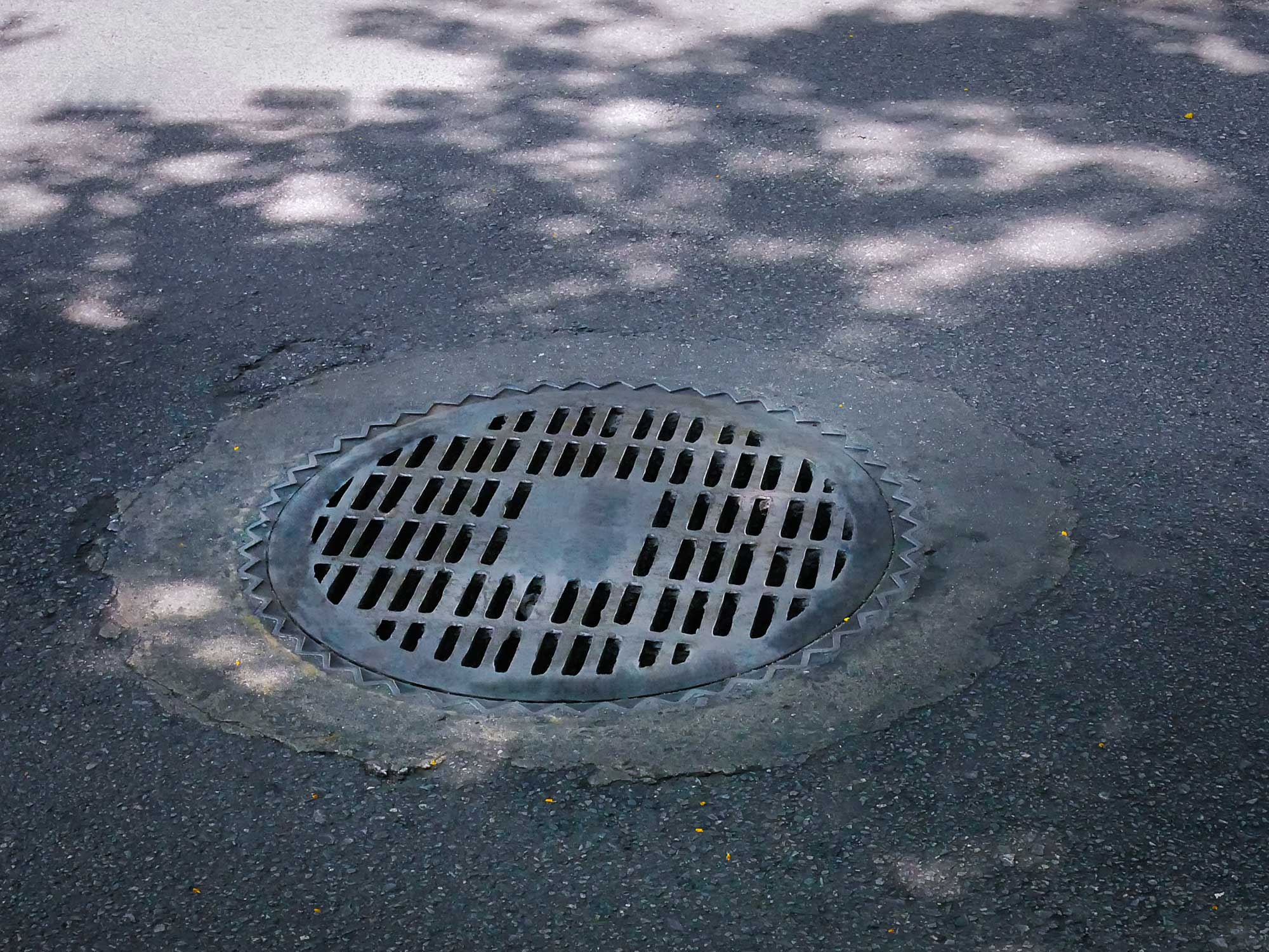 Rainwater drainage on asphalt driveway, part of proper driveway paving for water runoff.